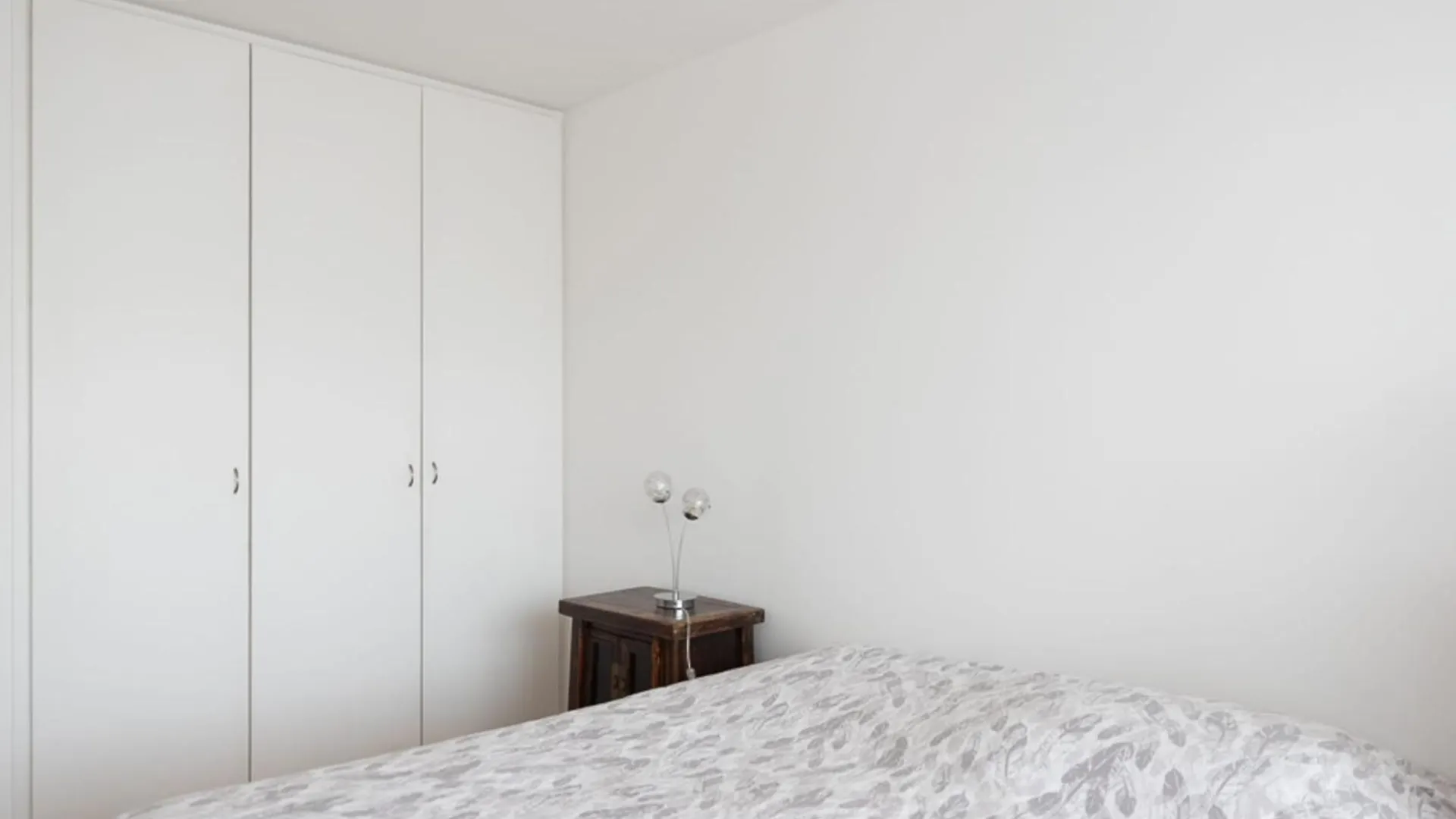 Spacious Cocoon With 2 Balconies Appartement Parijs